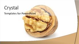  Presentation with walnut - Cool new PPT theme with brain food - walnut isolated on a white backdrop and a white colored foreground