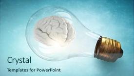  Presentation with bulb brain - PPT layouts enhanced with brain inside of light bulb background and a  colored foreground
