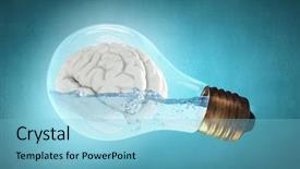  Presentation with bulb brain - PPT layouts having brain inside of light bulb background and a  colored foreground