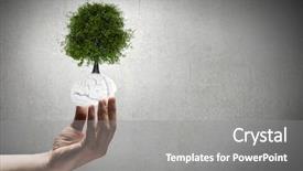  Presentation with sprout - PPT theme having brain life - close up of human hand background and a gray colored foreground