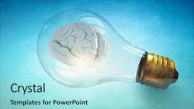  Presentation with problem solution idea concept 3d - Amazing slide deck having brain light bulb - great idea concept backdrop and a arctic colored foreground