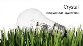  Presentation with environmental pollutions - Theme having brain light bulb white - lightbulb laying in the grass background and a  colored foreground