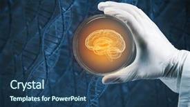  Presentation with biochemistry - Audience pleasing PPT layouts consisting of brain structure - biochemistry research test backdrop and a ocean colored foreground