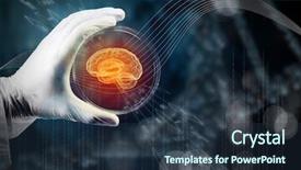  Presentation with biochemistry - PPT layouts with brain structure - biochemistry research test background and a tawny brown colored foreground