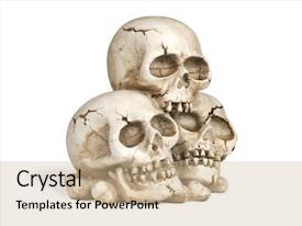  Presentation with brain - Presentation theme consisting of brain teeth - cast of a weathered human background and a soft green colored foreground