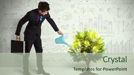  Presentation with pouring water - Presentation theme consisting of brain trees - business man pouring water background and a mint green colored foreground