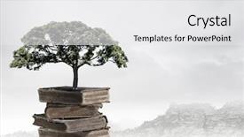  Presentation with growing tree - Beautiful PPT theme featuring brain trees - conceptual image with green tree backdrop and a white colored foreground