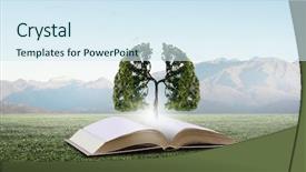  Presentation with growing tree - Slide deck with brain trees - conceptual image with green tree background and a sky blue colored foreground