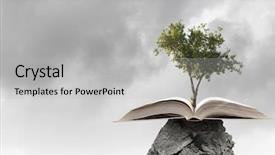  Presentation with growing tree - Presentation consisting of brain trees - conceptual image with green tree background and a light gray colored foreground