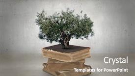  Presentation with growing tree - Presentation theme with brain trees - conceptual image with green tree background and a coral colored foreground