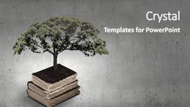  Presentation with growing tree - Beautiful theme featuring brain trees - conceptual image with green tree backdrop and a gray colored foreground