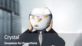  Presentation with flying - PPT layouts having asia - flower of fresh bombax ceiba background and a coral colored foreground