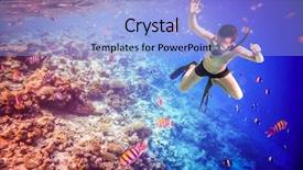  Presentation with brain and spinal cord - Slide deck having brains fish - snorkeler diving along the brain background and a light blue colored foreground