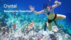  Presentation with brain and spinal cord - Presentation design enhanced with brains fish - snorkeler diving along the brain background and a teal colored foreground