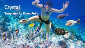  Presentation with brain and spinal cord - Colorful presentation enhanced with brains fish - snorkeler diving along the brain backdrop and a teal colored foreground