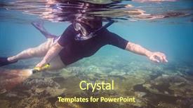  Presentation with brain and spinal cord - Presentation design with brains fish - snorkeler diving along the brain background and a tawny brown colored foreground