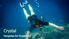  Presentation with brain and spinal cord - Presentation design featuring brains fish - snorkeler diving along the brain background and a ocean colored foreground