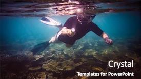  Presentation with brain and spinal cord - Slide set enhanced with brains fish - snorkeler diving along the brain background and a  colored foreground