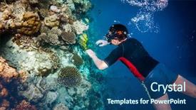  Presentation with brain and spinal cord - Beautiful slide set featuring brains fish - snorkeler diving along the brain backdrop and a ocean colored foreground