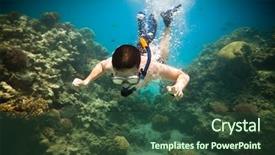  Presentation with brain and spinal cord - PPT layouts consisting of brains fish - snorkeler diving along the brain background and a  colored foreground