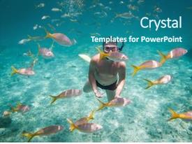  Presentation with brain - Presentation design having plum-cake candied fruits nuts dried apricots figs close-up still life celebration background and a coral colored foreground