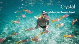  Presentation with brain - Presentation design having plum-cake candied fruits nuts dried apricots figs close-up still life celebration background and a coral colored foreground