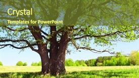 Presentation with green tree - Colorful slide deck enhanced with big tree's branches backdrop and a tawny brown colored foreground