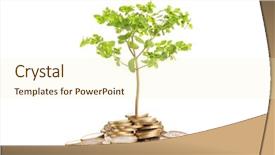  Presentation with growing - Colorful presentation theme enhanced with money growing concept isolated backdrop and a cream colored foreground