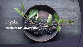  Presentation with berries - PPT theme with branch-filled-with-aronia-berries background and a dark gray colored foreground