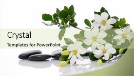  Presentation with technology green and black - Slide deck featuring branch gardenia with green plant background and a  colored foreground