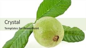  Presentation with agriculture water - Slides enhanced with search find good education road background and a coral colored foreground.