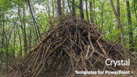  Presentation with primitive - Presentation theme featuring branch hut in the woods background and a tawny brown colored foreground