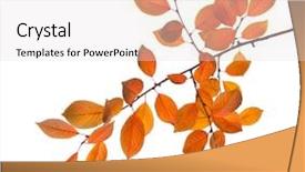  Presentation with autumn leaves - Beautiful PPT layouts featuring branch of autumn leaves cherry backdrop and a lemonade colored foreground