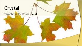  Presentation with fall leaves border white - Colorful slide set enhanced with branch of autumn leaves isolated backdrop and a  colored foreground