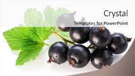  Presentation with currant - Audience pleasing PPT theme consisting of branch of black currant backdrop and a white colored foreground