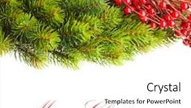  Presentation with christmas holly - Slide deck consisting of christmas tree and european holly background and a white colored foreground