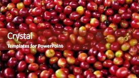  Presentation with growing tree - Audience pleasing theme consisting of branch of coffee tree backdrop and a tawny brown colored foreground