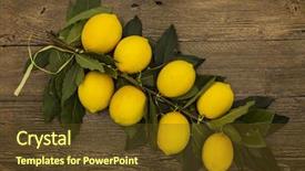  Presentation with lemons - Slide deck with branch of fresh juicy sicilian lemons on a wooden background background and a tawny brown colored foreground