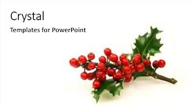  Presentation with holly - Slide deck featuring branch of holly with red background and a white colored foreground