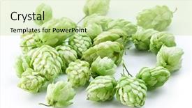  Presentation with hops - Amazing PPT theme having branch of hops backdrop and a  colored foreground