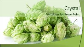  Presentation with hops - Slide deck featuring branch of hops background and a mint green colored foreground
