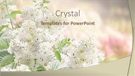  Presentation with summer flowers - Presentation theme with branch-of-lilac-on-sunny background and a lemonade colored foreground