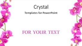  Presentation with orchids - Amazing PPT layouts having branch of orchids frame card with a place for your text backdrop and a white colored foreground