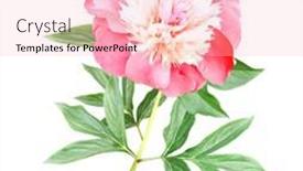  Presentation with peony flower - PPT layouts with branch-of-peony-paeonia background and a lemonade colored foreground