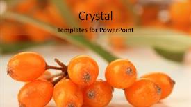  Presentation with branch - Cool new presentation design with walls of canal buildings in backdrop and a dark gray colored foreground