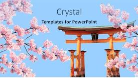  Presentation with pink flowers - PPT layouts having branch-of-the-blooming-sakura background and a light blue colored foreground