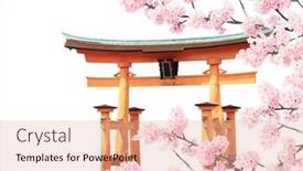  Presentation with pink flowers - Presentation design consisting of branch-of-the-blooming-sakura background and a lemonade colored foreground