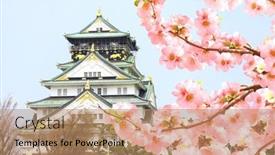  Presentation with japanese flowers - Presentation featuring branch-of-the-blossoming-japanese background and a  colored foreground