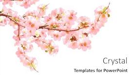  Presentation with japanese flowers - Slides with branch-of-the-blossoming-japanese background and a white colored foreground