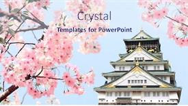  Presentation with japan sakura - Audience pleasing theme consisting of branch-of-the-blossoming-sakura backdrop and a sky blue colored foreground
